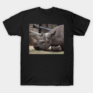 Black Rhino T-Shirt